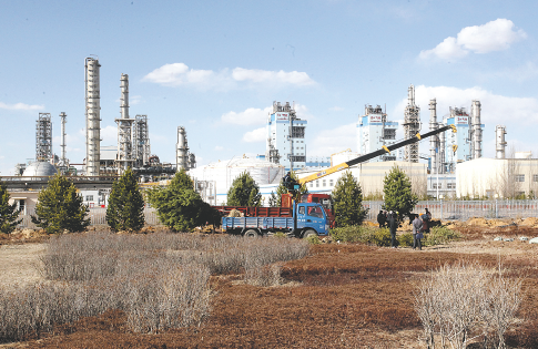 体育APP平台展示